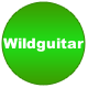 Wildguitar