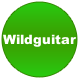 Wildguitar